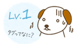 Lv.1のイメージ
